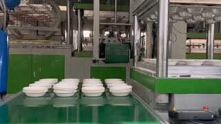 Bagasse Tableware  Disposable Food Container [upl. by Dinse]