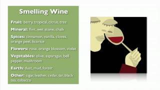 Wine Basics from My Wine Smarts [upl. by Sophronia]