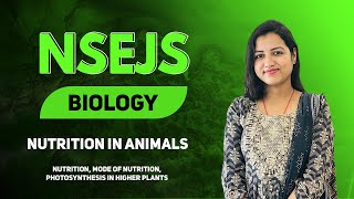 NSEJS  BIOLOGY  Nutrition in Animals  Class 9 [upl. by Caravette870]