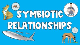 Symbiotic Relationships [upl. by Acysej]