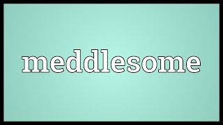 Meddlesome Meaning [upl. by Jamnes]