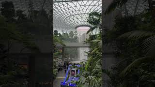 Changi Airport reels travel changiairport foryou fypシ゚viral vacationreels fypyoutube fyp [upl. by Assilak911]