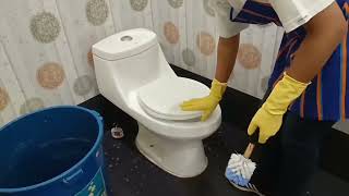 Bathroom Cleaning  Housekeeping bathroom bshm cleaning housekeeping tips [upl. by Evvie742]