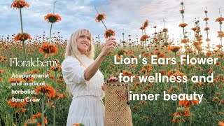 Discover Lions Ears medicinal flower for wellness and inner beauty with acupuncturist Sara Crow [upl. by Haukom]