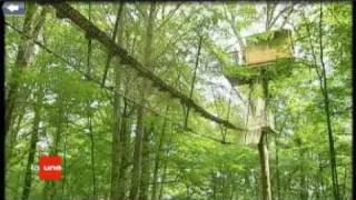 Cabane dans les arbres  Le chêne perché  Ardennes [upl. by Elsie]