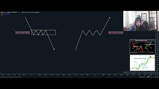 Rally Base Rally amp Drop Base Drop Trading Strategy [upl. by Nuy]