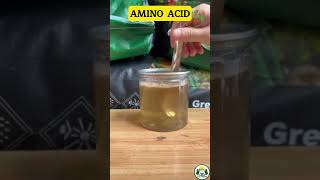 Phân Bón Kích Rễ Amino Acid 45  20kgbao Phục Hồi Vườn Đâm Chồi Lá Dày Dạng Bột Tan 100 [upl. by Koh551]