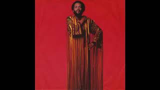 Roy Ayers   Sunshine Sampled [upl. by Huberty]