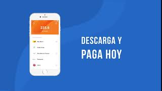 Punto Pago App [upl. by Enaled275]