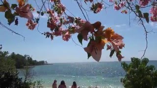 A Day in Little BayLittle Bay Cabins  Jamaica [upl. by Cavil]