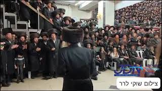 Amshenov Rebbe Dances Mitzvah Tantz  Kislev 5784 [upl. by Brock288]