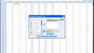 SPSS Tutorials Parametric and nonparametric student ttest [upl. by Nueoras810]