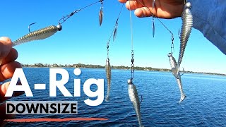 How To Fish an Alabama Rig  Downsize ARig to Catch More Bass [upl. by Alaecim591]