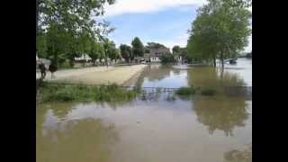 Hochwasser in Flörsheim am Main [upl. by Naihr82]