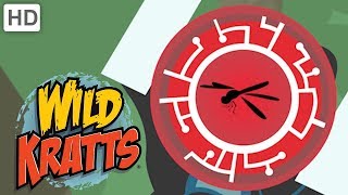 Wild Kratts  Brilliant Bugs Creature Powers  Kids Videos [upl. by Yahc]