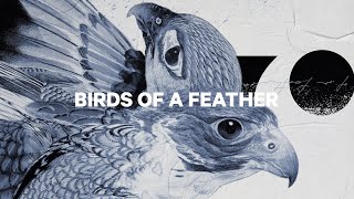 CAPiTA SNOWBOARDS  2023 Birds of a Feather Snowboard [upl. by Adnirual]