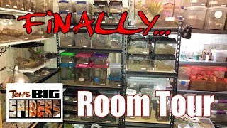 Toms Big Spiders ROOM TOUR Finally [upl. by Raimes]