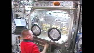 Microgravity Science Glovebox [upl. by Phipps898]