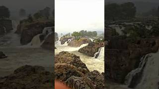 Hogenakkal  Waterfalls waterfalls travel nature [upl. by Neraa]