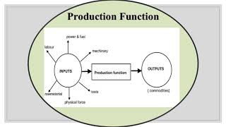 CHAPTER 5 PRODUCTION FUNCTION class 11th eco 10th july 2020 [upl. by Remy]