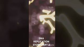 DNA REPLICATION STORY  Cellie ki Kahani Part2 [upl. by Yelrebmik619]