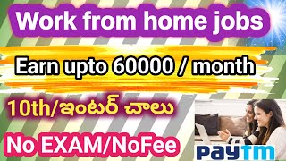 paytm recruitmentWork from home jobs in paytmPermanent Work from home jobs Paytm Work from home [upl. by Adis]