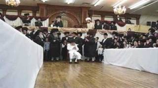 Hrhquotk MTosh Shlita Feering Tish on Purim [upl. by Chickie]