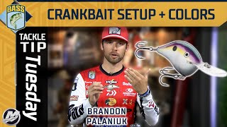 Brandon Palaniuk tells you which crankbait colors you should use Deep Water Fishing [upl. by Trauner667]