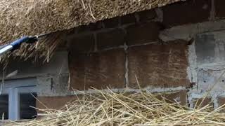 Trimming a thatched roof eave [upl. by Ailalue]