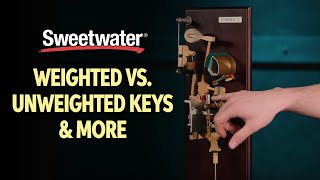 Weighted vs Unweighted Keys amp More 🎹  Keyboard Lesson [upl. by Satterfield]