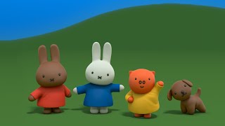 Miffy’s World Miffy is getting her puppy 🐶 tomorrow miffy bunny rabbit puppy cute [upl. by Hatokad]