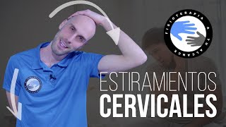 Rutina de estiramientos para las cervicales 15 MINUTOS [upl. by Brey]