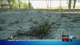 Driveway sealer scams hitting West Michigan [upl. by Ettenad406]