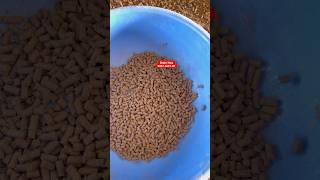 Biomass pellets machine ￼biomasspelletmachine [upl. by Htabazile435]