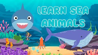 Learn Sea Animals  Learn English  Learn vocabulary [upl. by Baggett]