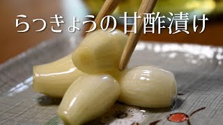 How To Make Rakkyo Pickles Best to eat with Curry rice [upl. by Aniras588]