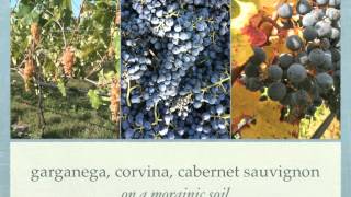 Le Vigne di San Pietro 2012 newmov [upl. by Wallis]