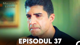 Mireasa Din Istanbul Episodul 37 [upl. by Spence]