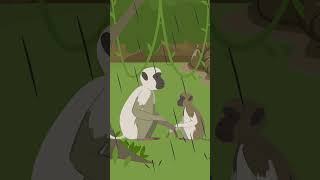 Sher Ki Thakaan  The Jungle Story  Cartoon  junglestory [upl. by Adelind411]