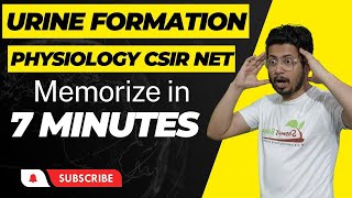 Process of urine formation physiology  tricks to learn urine formation mechanism [upl. by Viviana666]