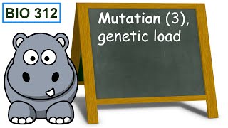 Mutation 3 genetic load [upl. by Filiano351]