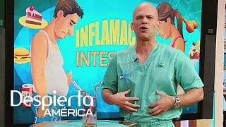 Inflamación intestinal a qué se debe y cómo solucionarla  Despierta América [upl. by Ydissahc]