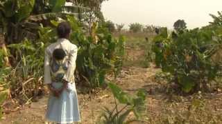 Agricultura quotAngola 10 anos depoisquot [upl. by Laefar]