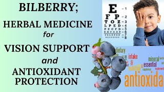 BILBERRY HERBAL MEDICINE FOR VISION SUPPORT amp ANTIOXIDANTS [upl. by Lurline]