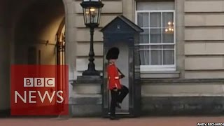 Buckingham Palace Guardsman doing pirouettes  BBC News [upl. by Lassiter]