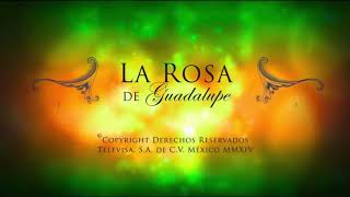 La Rosa De Guadalupe quotLa Fuerza De Un Te Amoquot Parte 12 [upl. by Yartnoed290]