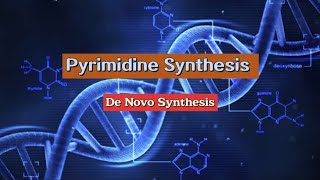 Pyrimidine Synthesis  De Novo Synthesis nucleotides metabolism biochemistry [upl. by Norad234]