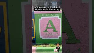 Importance of Greek Fraternities and Sororities  Legacy amp Lifelong Connections  Divine Nine amp NPHC [upl. by Norahs]