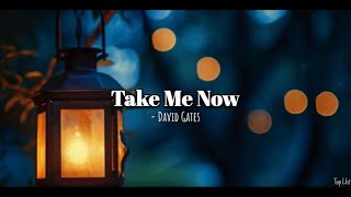 Take Me NowLyrics  David Gates [upl. by Eitteb]