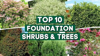 10 Shrubs amp Trees You Can Plant Close to The House 🌲🌳  Foundation Plants 👍👌 [upl. by Davidoff929]